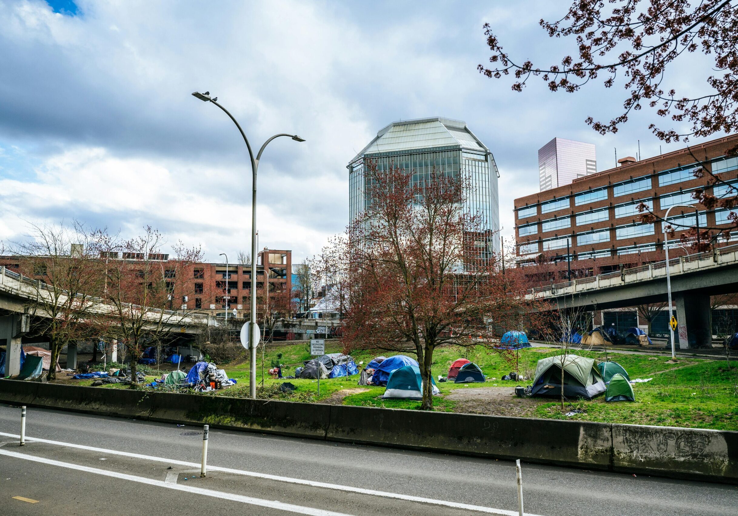 pexels-brett-sayles-19798540